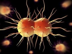 山东发布传染病疫情儿童要小心