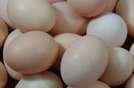 长春男子自称超市买到假鸡蛋 蛋黄要使劲捏才碎