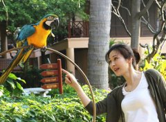 明星童蕾畅游南亚时尚大片曝光