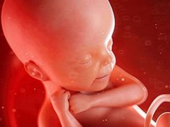 胎宝宝竟在妈妈肚子里做这么多事？