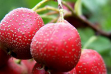 神奇的中药减肥法送给你