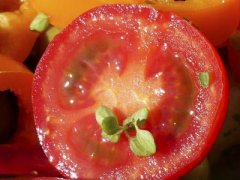 减肥之路怎可少了这4种瘦身水果？